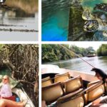 1 west coast beach river mangroves lagoon wildlife boat tour West Coast Beach, River Mangroves Lagoon, Wildlife Boat Tour