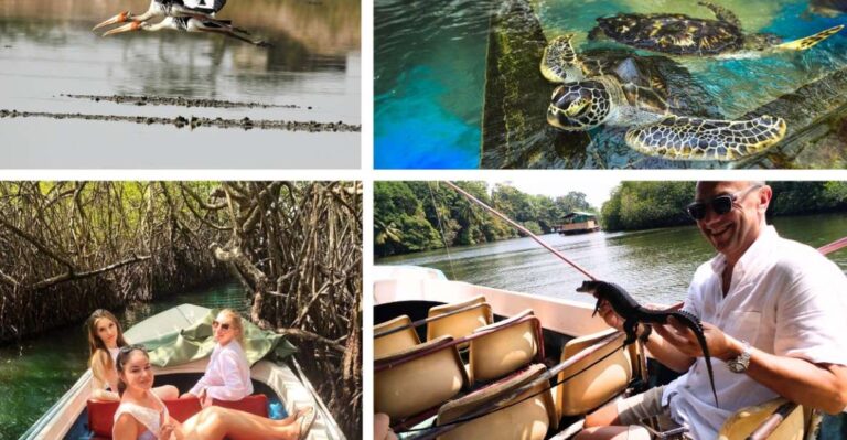 West Coast Beach, River Mangroves Lagoon, Wildlife Boat Tour