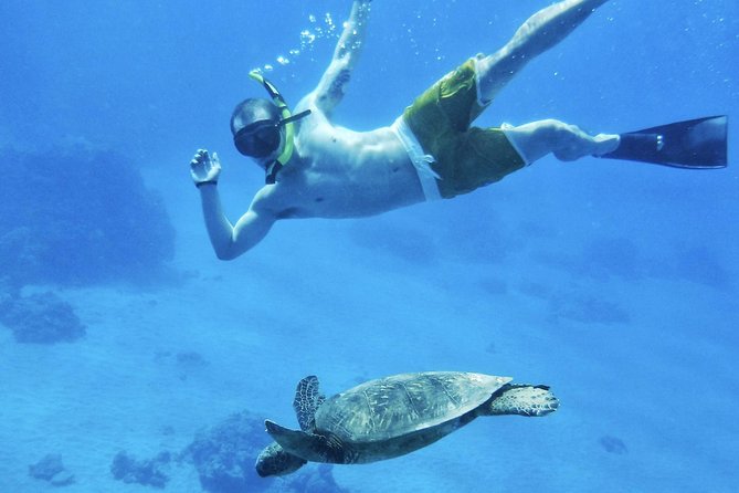 West Maui Half Day Snorkel From Ka’Anapali Beach