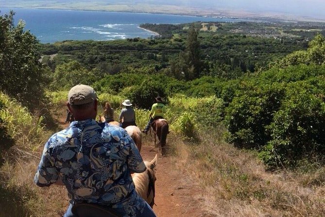 West Maui Mountain Waterfall and Ocean Tour via Horseback