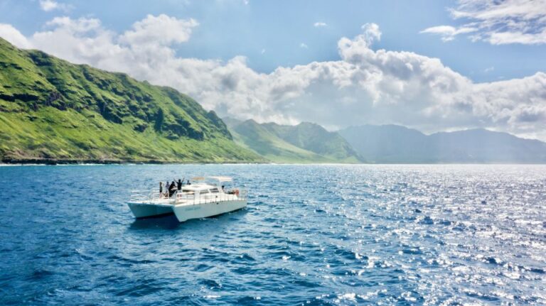 West O’ahu: Swim With Dolphins Catamaran Cruise