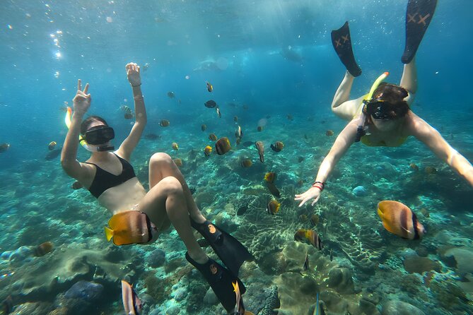 1 west penida island private day tour with lunch and snorkeling mar West Penida Island Private Day Tour With Lunch and Snorkeling (Mar )