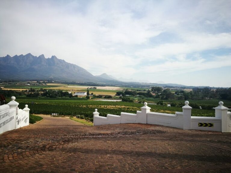 Western Cape: Winelands Tasting and Cellar Tour With Guide