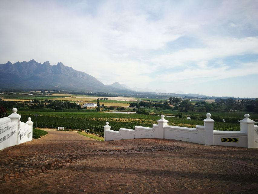 1 western cape winelands tasting and cellar tour with guide Western Cape: Winelands Tasting and Cellar Tour With Guide