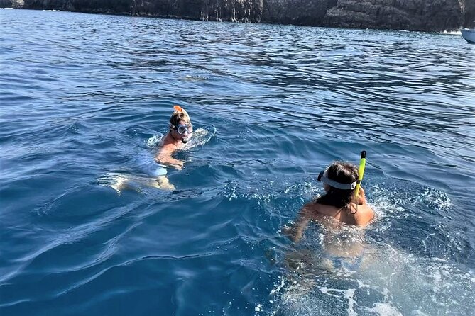 Whale and Dolphin Watching in Tenerife With Snorkeling