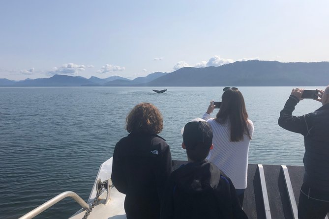 Whale Watching Charters Through Icy Strat Alaska