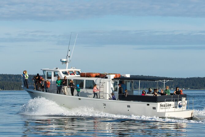 whale-watching-from-friday-harbor-tour-details-and-booking-information