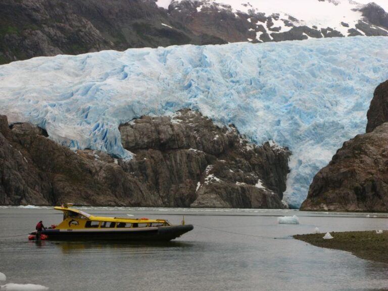 Whales, Penguins & Glaciers Navigation From Punta Arenas