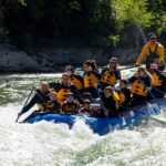 whitewater-rafting-in-jackson-hole-family-standard-raft-rafting-experience-highlights
