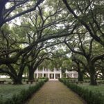 1 whitney plantation and airboat tour from new orleans Whitney Plantation and Airboat Tour From New Orleans