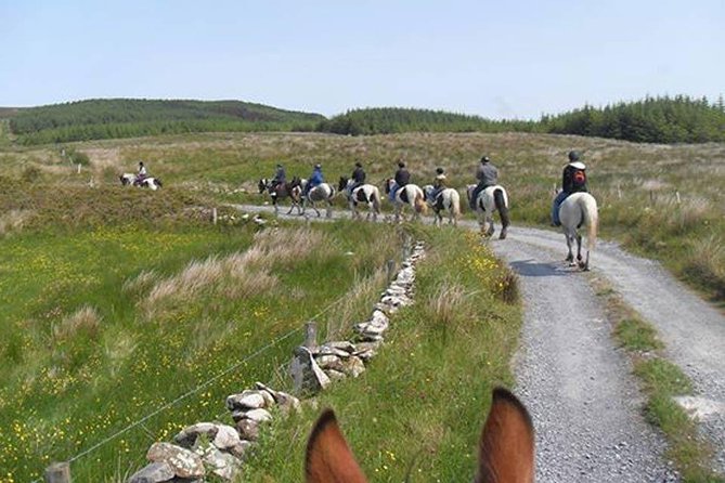 Wild Atlantic Way Horseback Riding Tour in County Clare (Mar )