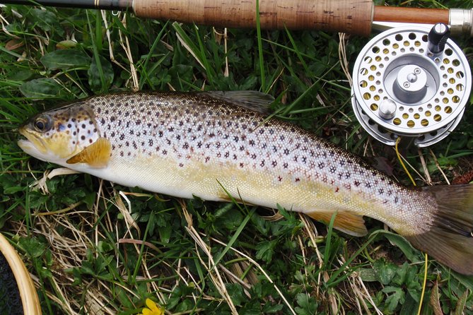 1 wild brown trout fly fishing with guide on lough corrib county galway Wild Brown Trout Fly Fishing With Guide on Lough Corrib, County Galway.