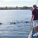 1 wild dolphin watch cruise Wild Dolphin Watch Cruise