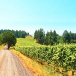 1 willamette valley wine tour tasting fees included Willamette Valley Wine Tour (Tasting Fees Included)