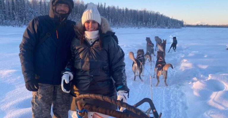 Willow: Traditional Alaskan Dog Sledding Ride