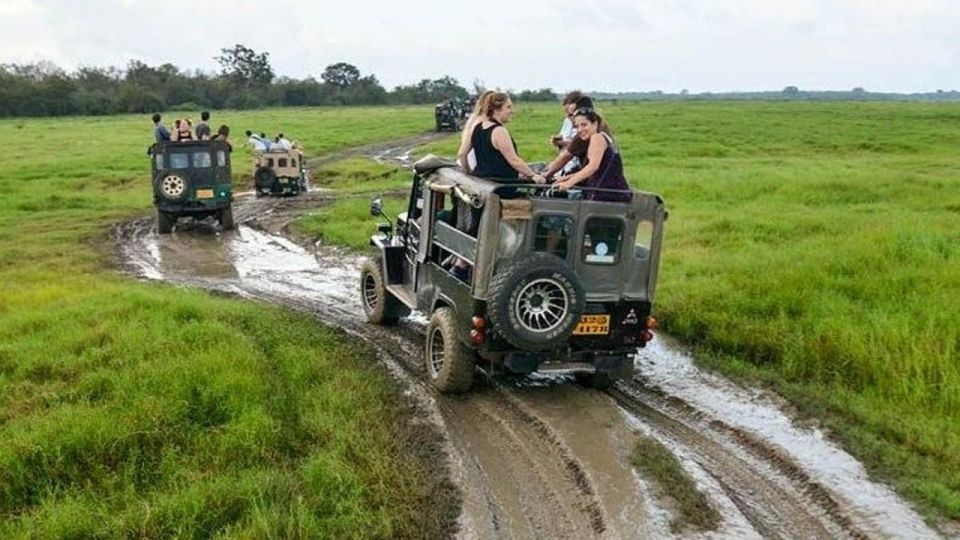 1 wilpattu national park with safari jeep entrance ticket 2 Wilpattu National Park With Safari Jeep & Entrance Ticket