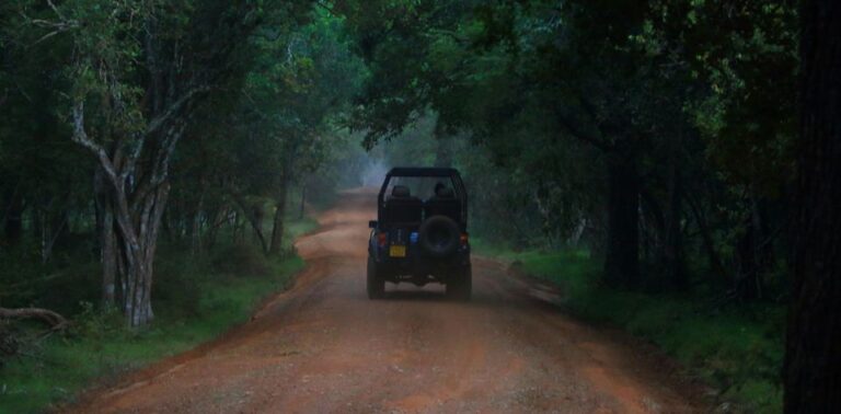 Wilpattu National Park With Safari Jeep & Entrance Ticket