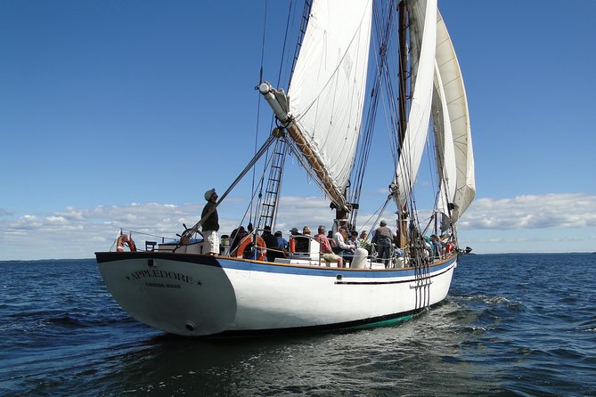 Windjammer Classic Day Sail From Camden, Maine