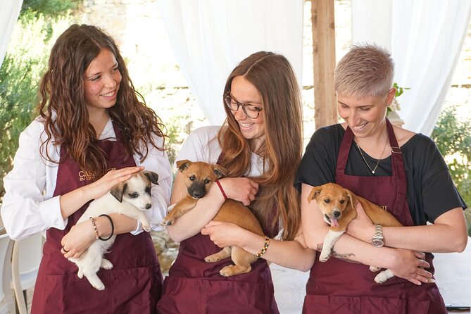 Wine and Food Tasting on an Organic Family Farm. - Logistics