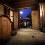 1 wine tasting with panoramic view of verona Wine Tasting With Panoramic View of Verona