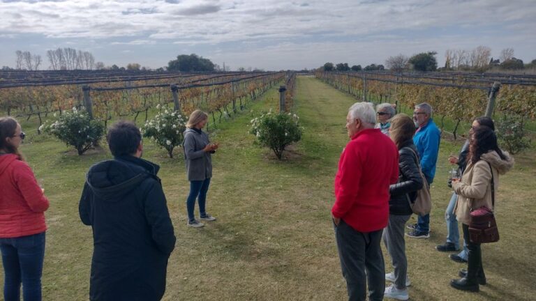 Wine Tour Córdoba