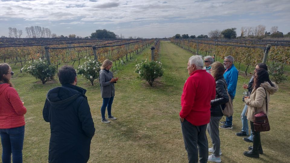 1 wine tour cordoba Wine Tour Córdoba