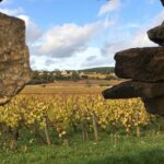 1 wine tour meursault its prestigious whites Wine Tour - Meursault, Its Prestigious Whites