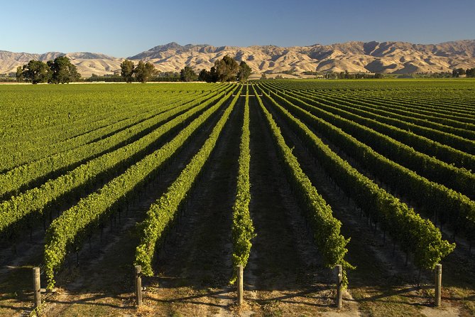 Wine Trail and Christchurch City Day Tour