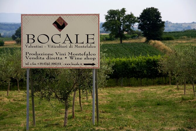 Winery Tour and Private Tasting in Montefalco