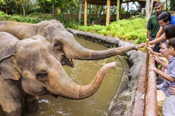 Wondrous Wildlife @ Singapore Zoo Roundtrip Transfers