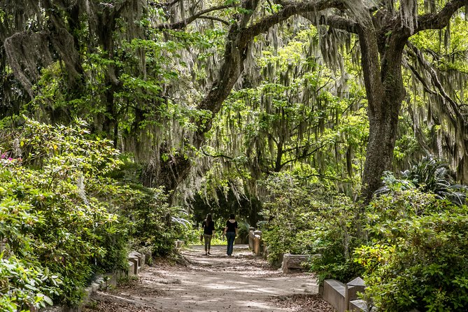 Wormsloe Historic Site & Bonaventure Cemetery Tour From Savannah