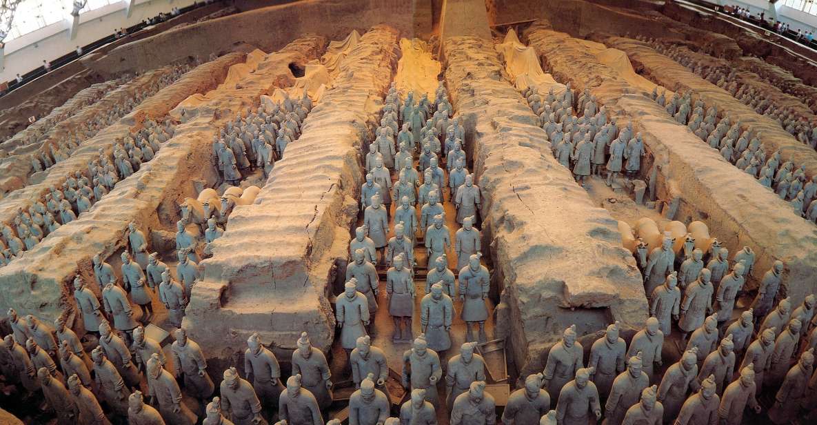 1 xian half day private terracotta warriors tour Xi'an Half Day Private: Terracotta Warriors Tour