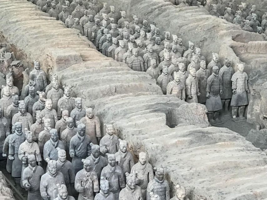 1 xian terra cotta army museum half day tour Xi'an: Terra-cotta Army Museum Half Day Tour