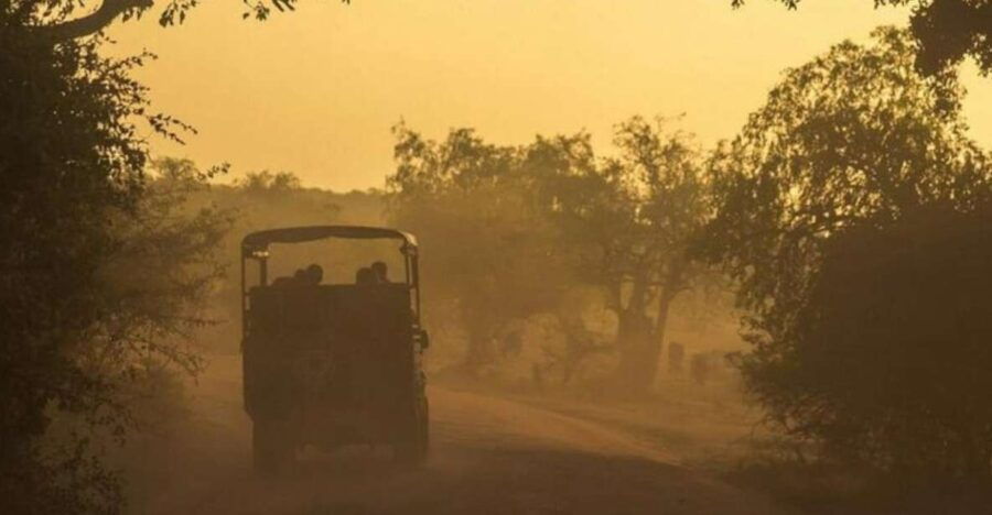 Yala: Night Drive in Yala National Park Buffer Zone!