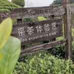 1 yangshuo tea plantation and xianggong hill half day tour Yangshuo: Tea Plantation and Xianggong Hill Half-Day Tour