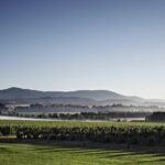 1 yarra valley exceptional private day tour for 2 with lunch Yarra Valley Exceptional - Private Day Tour - for 2 - With Lunch
