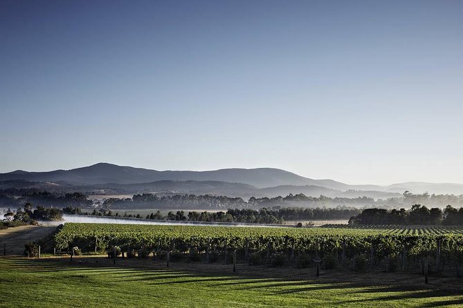 Yarra Valley Exceptional – Private Day Tour – for 2 – With Lunch