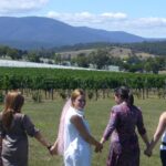 1 yarra valley small group wine tour with 2 course lunch Yarra Valley Small-Group Wine Tour With 2 Course Lunch