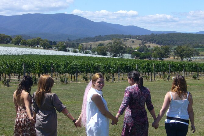 Yarra Valley Small-Group Wine Tour With 2 Course Lunch