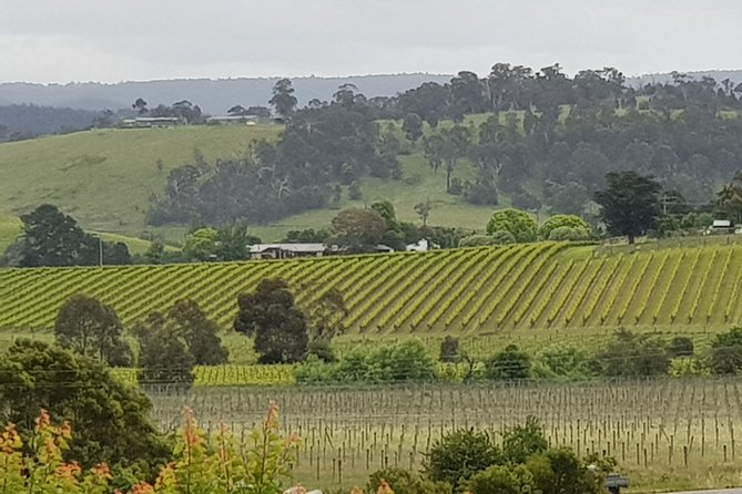 1 yarra valley wine tasting day tour from melbourne Yarra Valley Wine Tasting Day Tour From Melbourne
