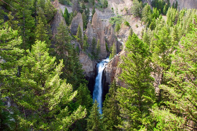 Yellowstone Full Day Private Tour