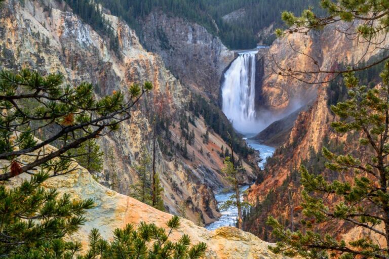 Yellowstone: Old Faithful, Waterfalls, and Wildlife Day Tour