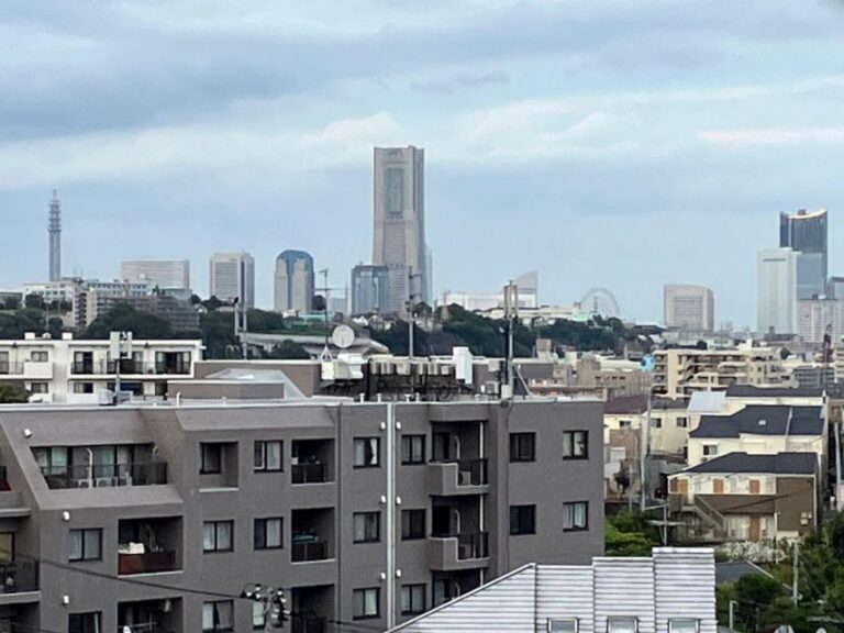 Yokohama: Half-Day Tour