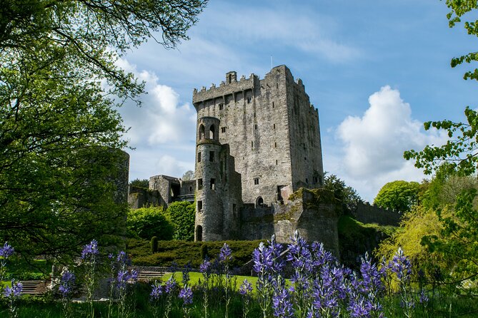 Your Irish Tour Blarney and Cork Private Day Tour