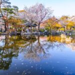 1 your private vacation photography session in kyoto Your Private Vacation Photography Session In Kyoto