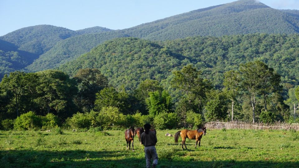 1 yungas full day with gauchos transfer inc from salta Yungas : Full Day With Gauchos - Transfer Inc. From Salta