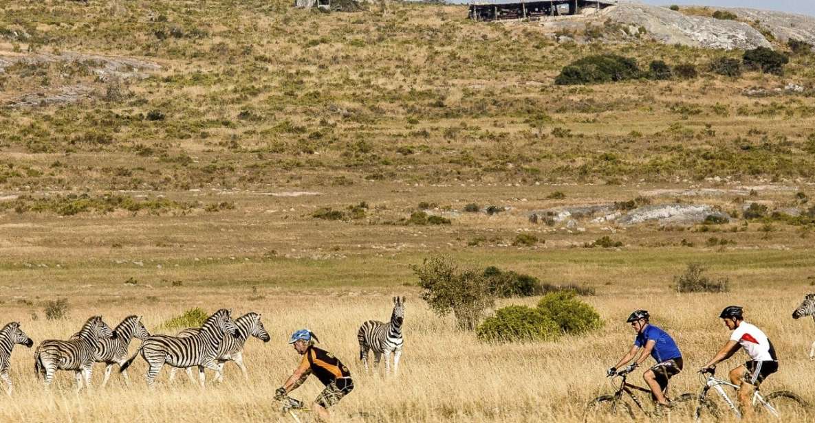 1 yzerfontein san heritage centre bike tour walk with lunch Yzerfontein: San Heritage Centre Bike Tour & Walk With Lunch