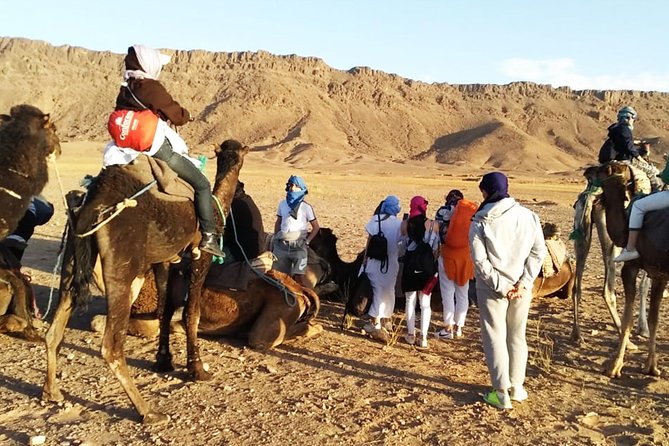 Zagora Desert Highlights: Private Guided 2-Day Tour From Marrakech