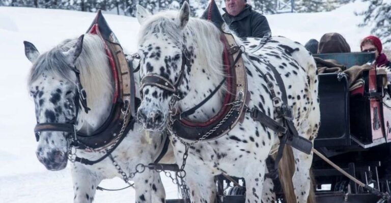 Zakopane and Sleigh Ride With Transfers and Lunch Option
