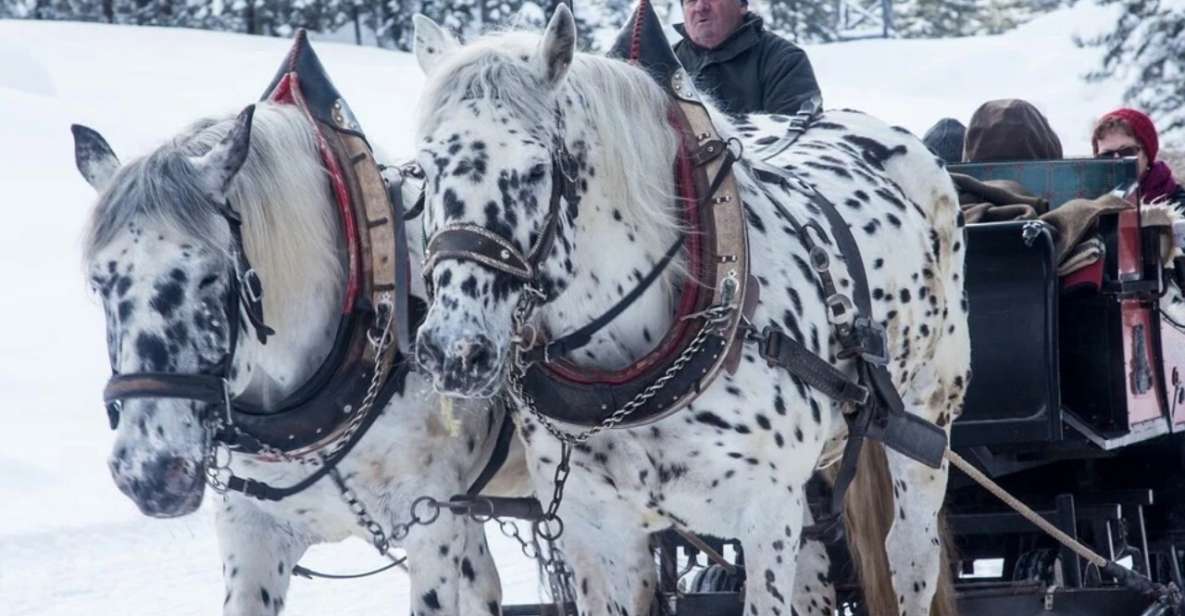 1 zakopane and sleigh ride with transfers and lunch option Zakopane and Sleigh Ride With Transfers and Lunch Option